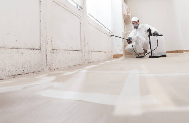 24/7 Emergency Mold Remediation experts in Davidsonville, MD